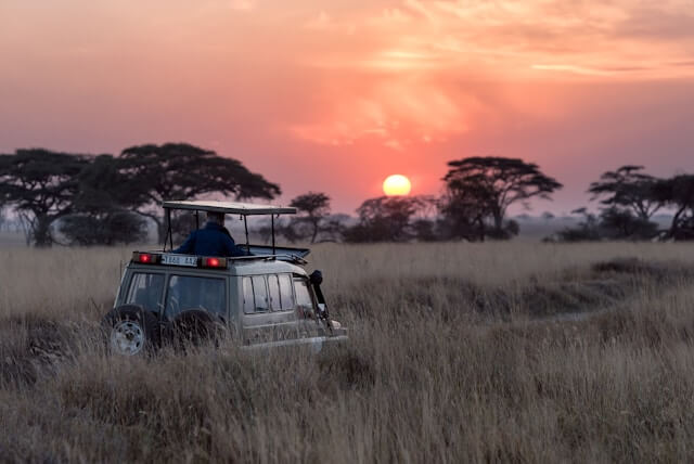 Top Honeymoon Destinations in Africa: Safari Adventures and Romantic Escapes